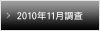 2010年11月調査